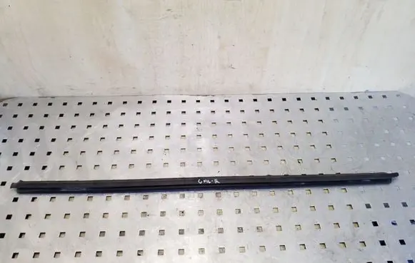 Rear door trim (molding)