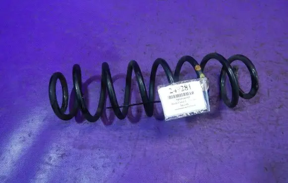Rear coil spring