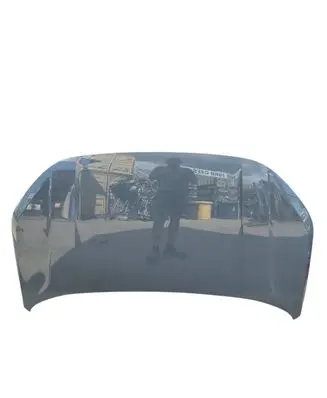 Engine bonnet/hood