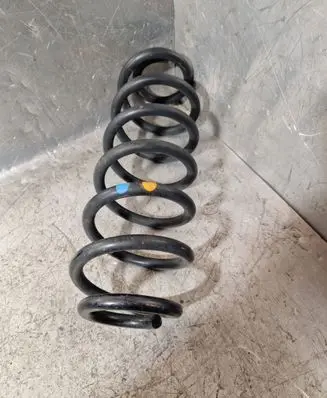 Rear coil spring