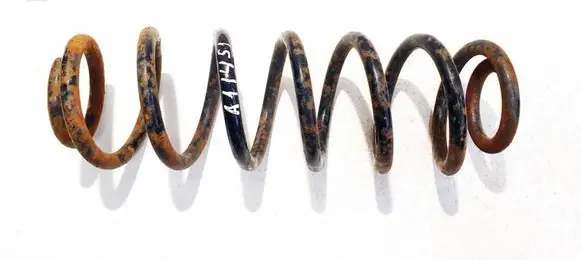 Volkswagen PASSAT B6 Rear coil spring
