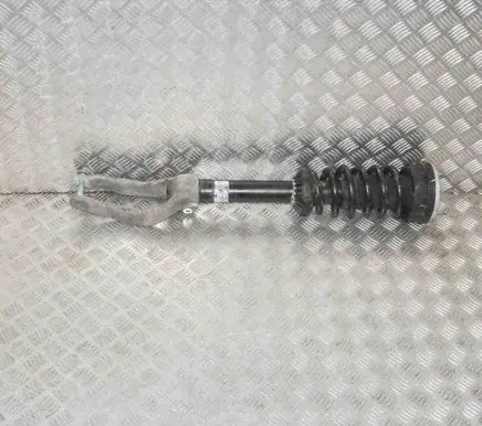 Jaguar F-Pace Front shock absorber/damper 116005728
