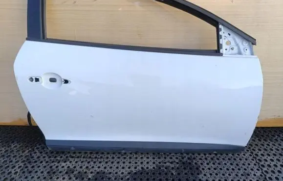 Renault Megane III Front door