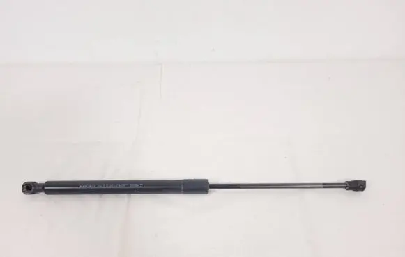 Tailgate/trunk strut/damper