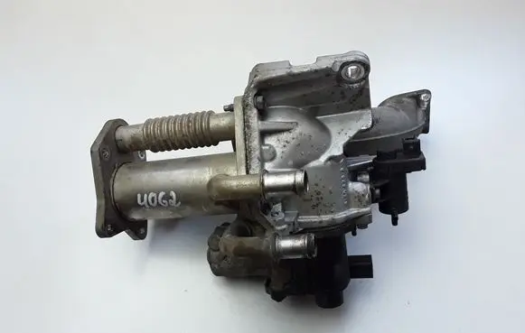 Renault Kangoo II EGR valve 501916000