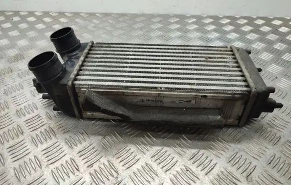 Ford B-MAX Intercooler radiator AV219L440AC