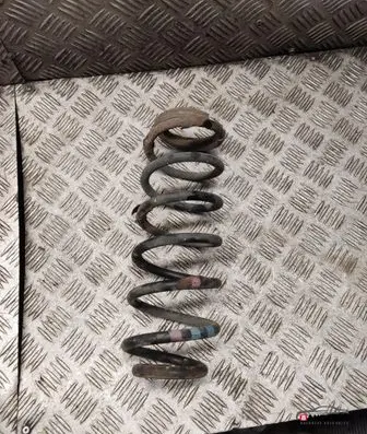 Rear coil spring