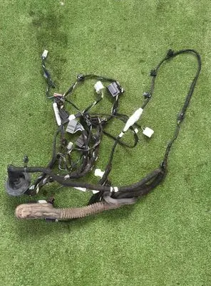 Ford Explorer VI Front door wiring loom/harness boot N1MT-14631-BJB