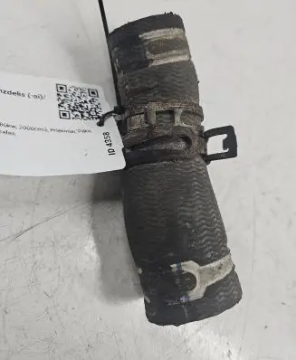 Peugeot 406 Engine coolant pipe/hose