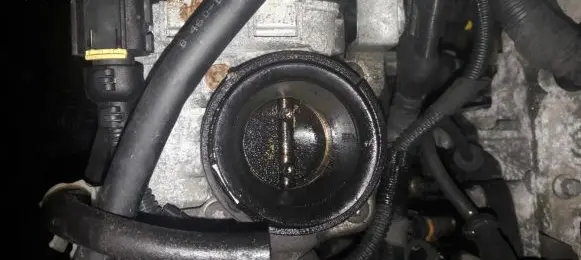 Fiat Punto (188) Throttle valve