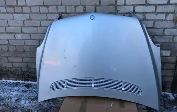 Engine bonnet/hood
