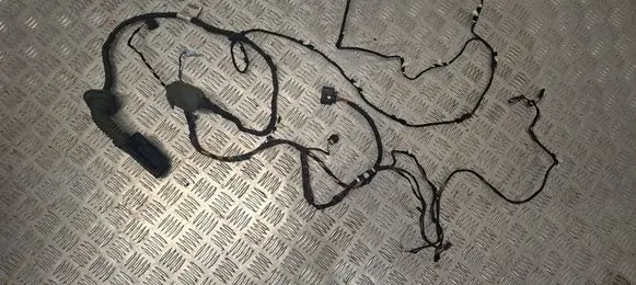 BMW X3 G01 Front door wiring loom 5A21D91