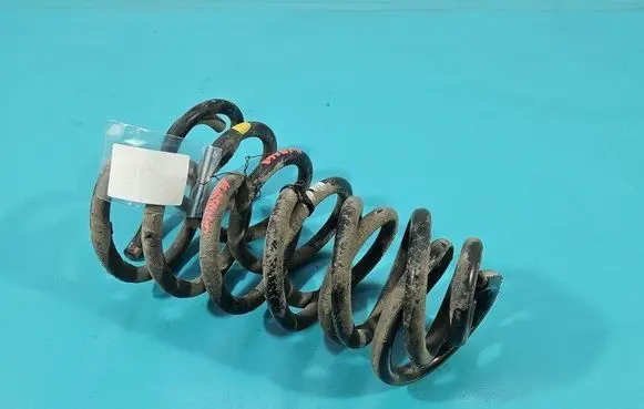 Rear coil spring