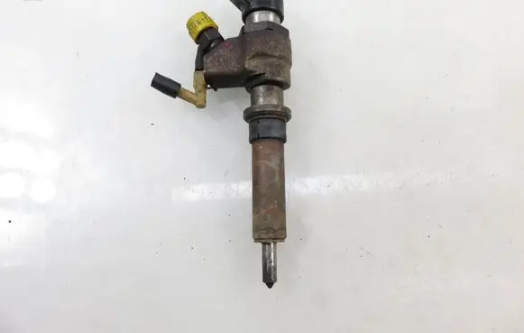 Peugeot 307 Fuel injector 9636819380