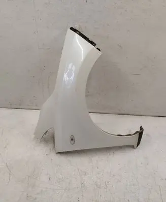 Nissan Leaf I (ZE0) Fender