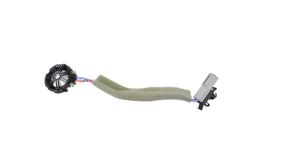 Bentley Continental Front door speaker BJ3218808AC