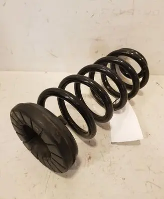 Rear coil spring