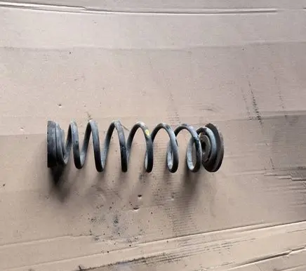 Rear coil spring
