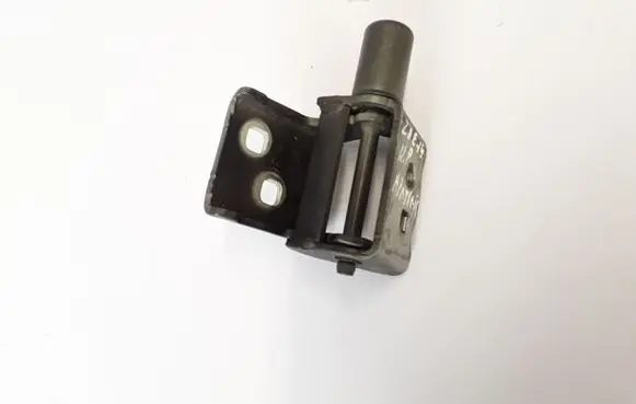 Renault Zoe Front door lower hinge 