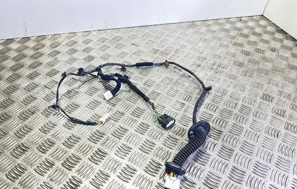Hyundai i20 (GB IB) Rear door wiring loom 91651C8100
