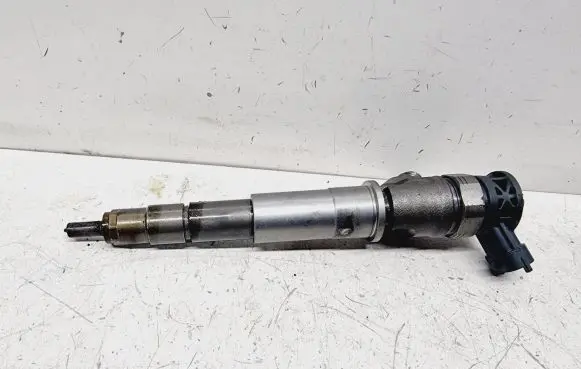 Renault Koleos II Fuel injector 1660000Q3G 166095899R 0445110728