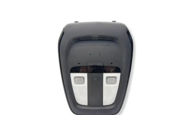 Volvo XC40 Front seat light 31652852