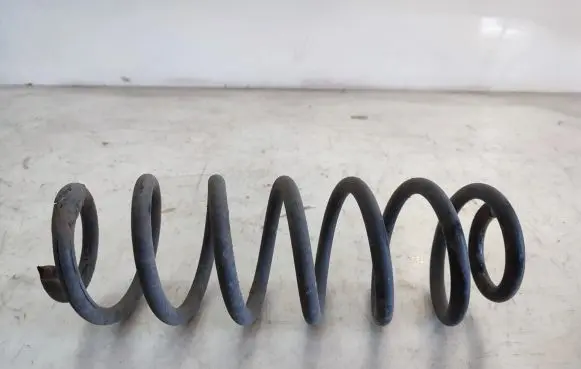 Volkswagen Tiguan Rear coil spring