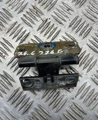 Tailgate/trunk/boot hinge