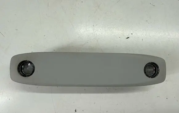 Tesla Model 3 Front seat light 109257500J