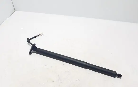 Renault Scenic E-Tech V Tailgate strut 904520913R