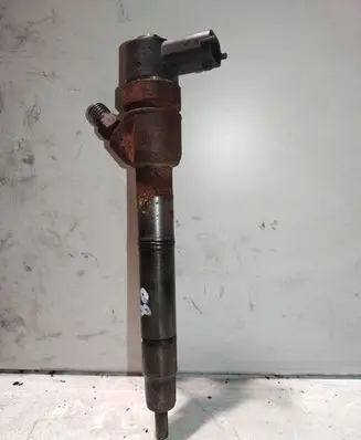 Hyundai i20 (PB PBT) Fuel injector 0445110320