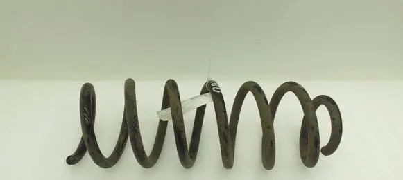 Nissan Qashqai Rear coil spring