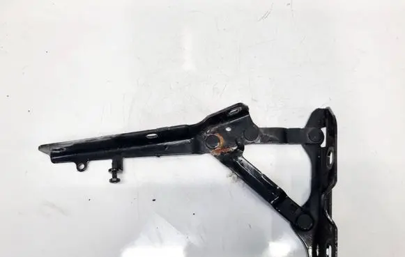 Tesla Model S Engine bonnet/hood hinges
