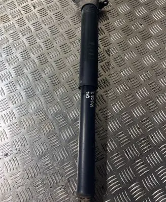 Ford Kuga II Rear shock absorber with coil spring D04JA