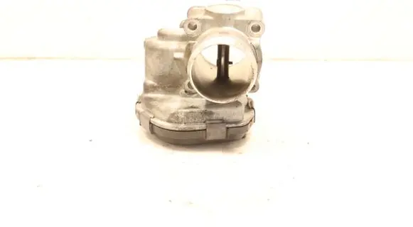 Throttle body valve