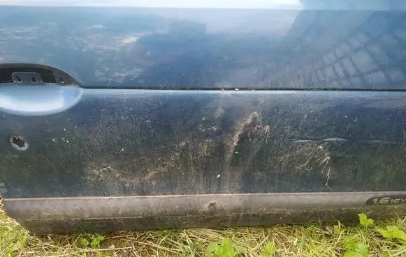 Renault Megane I Front door trim (molding) 
