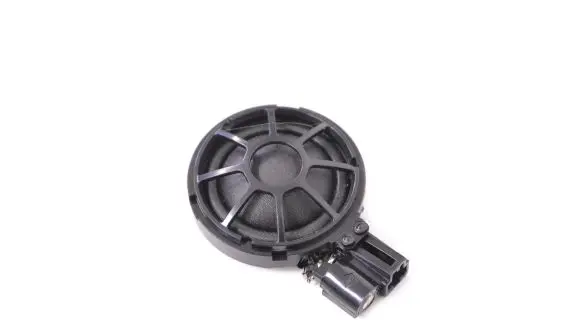 Front door speaker