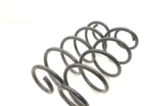 Rear coil spring