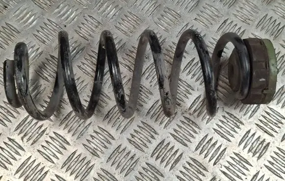 Rear coil spring