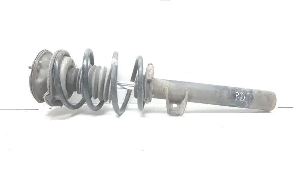 Front shock absorber with coil spring