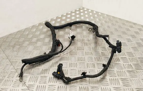 Peugeot 508 Wires (starter motor) 9678164080