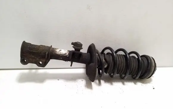 Fiat 500L Front shock absorber with coil spring 00519628030