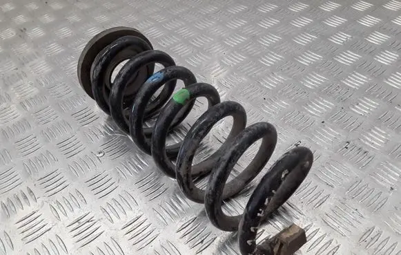 Peugeot 407 Rear coil spring