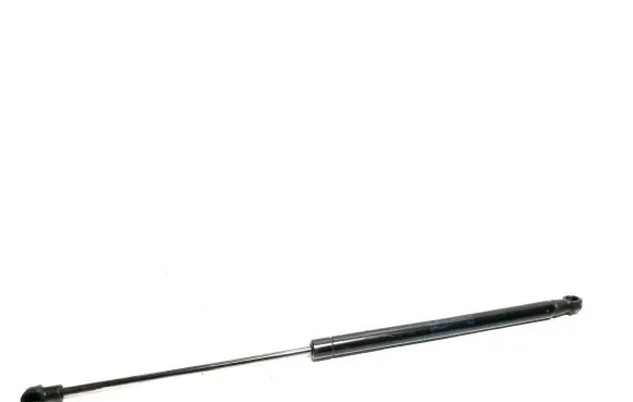 Tailgate/trunk strut/damper