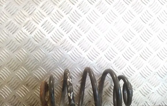 Rear coil spring