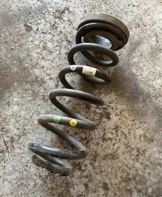 Rear coil spring