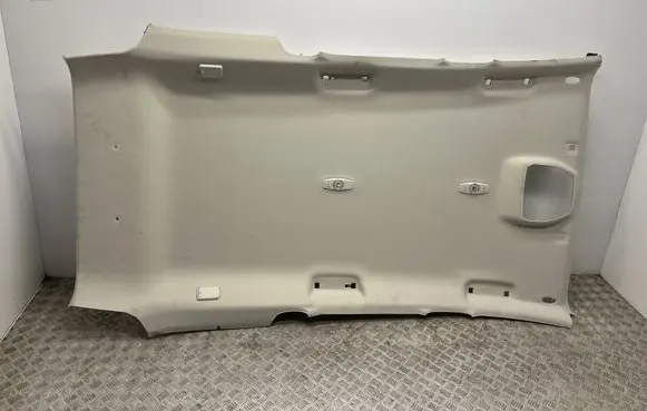 Ford Focus Headlining F1EBN51916CC3AM1 F1EBN51916