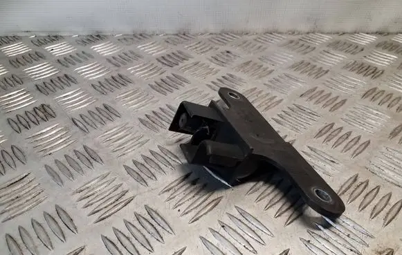 Renault Trafic III (X82) Sliding door check strap stopper 777895164R