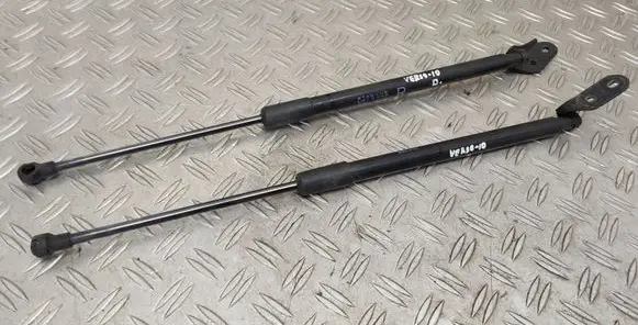 Tailgate/trunk strut/damper