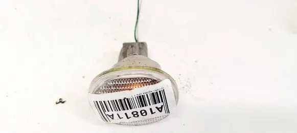 Front fender indicator light